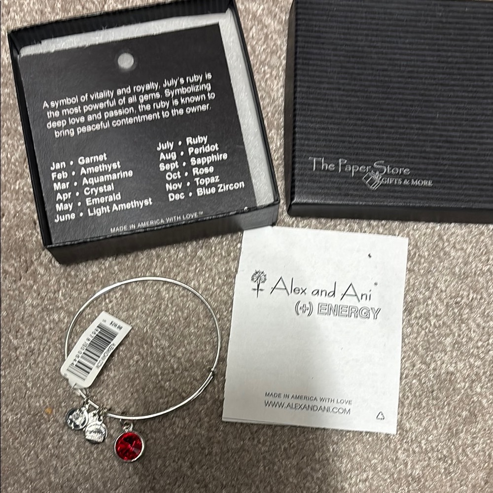 Alex and Ani Silver Bracelet with Red Charm